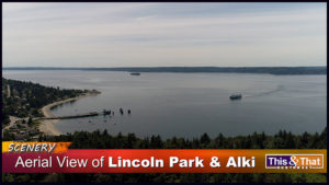 Aerial-View-Lincoln-Alki