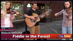 Fiddle in the Forest at the Wayzgoose Festival