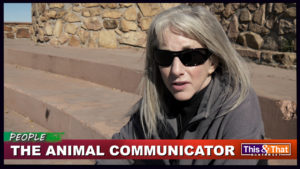 The Animal Communicator