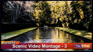 Pacific Northwest Scenery - 3