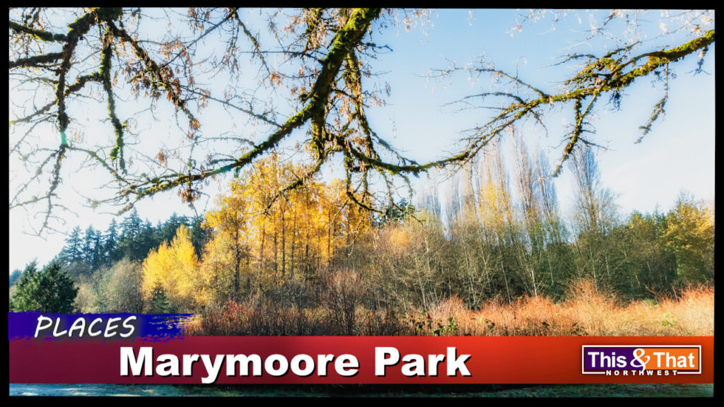 Redmond's Marymoore Park